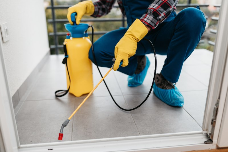 A professional spraying for pest management by Thrive Landscape Services